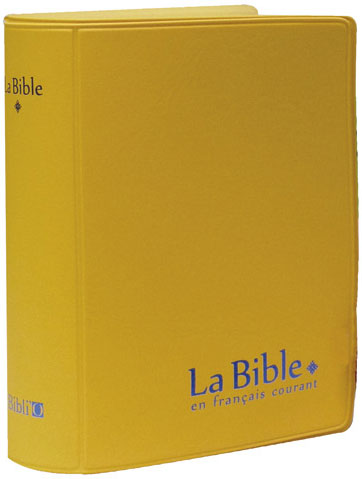 Bible Français courant - Mini - Vinyl - Safran