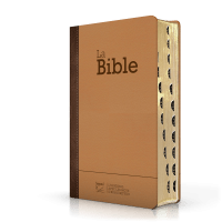 Bible Segond 21 compacte  (Premium style) - Couverture rigide cuir praliné-chocolat - tranches or et