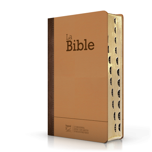 Bible Segond 21 compacte  (Premium style) - Couverture rigide cuir praliné-chocolat - tranches or et