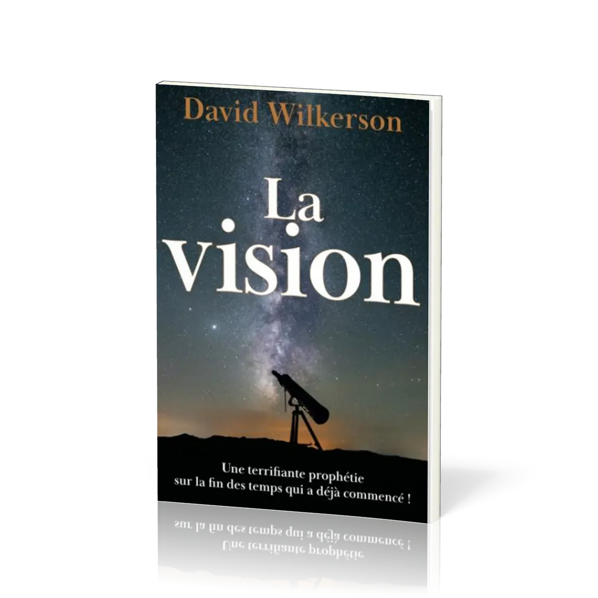 Vision (La) nouvelle édition