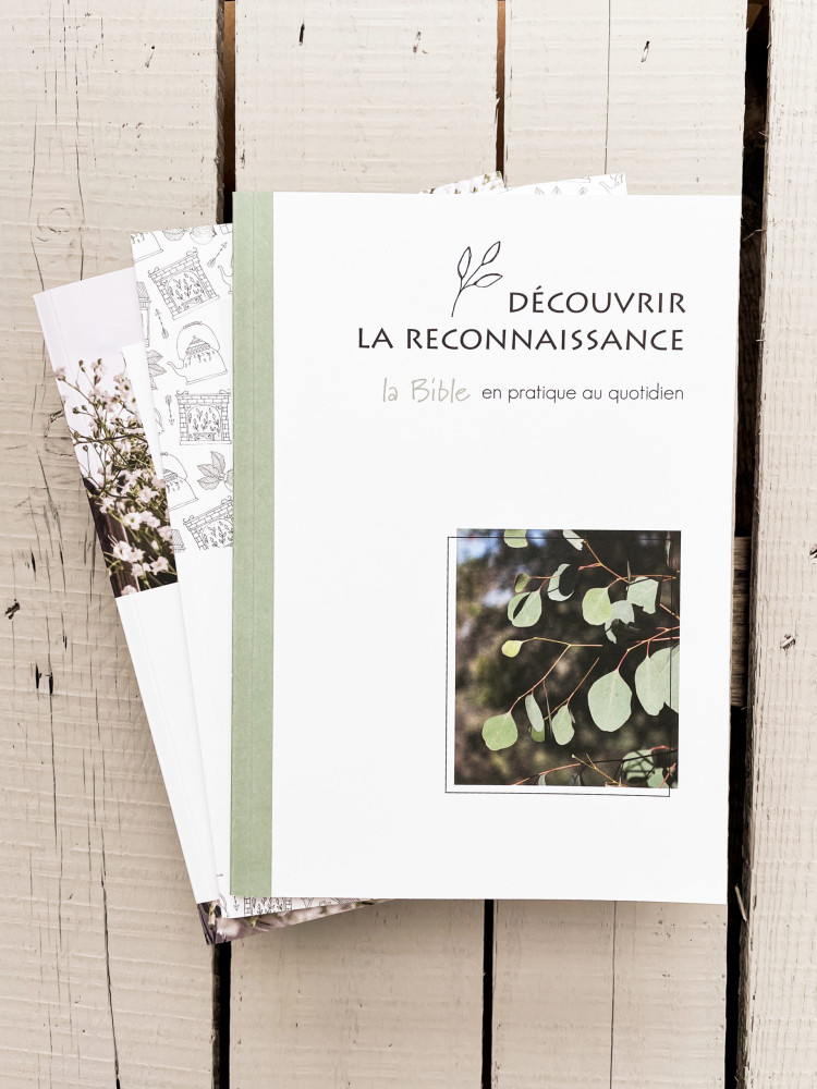 Découvrir la reconnaissance - Bible en pratique au quotidien (La)