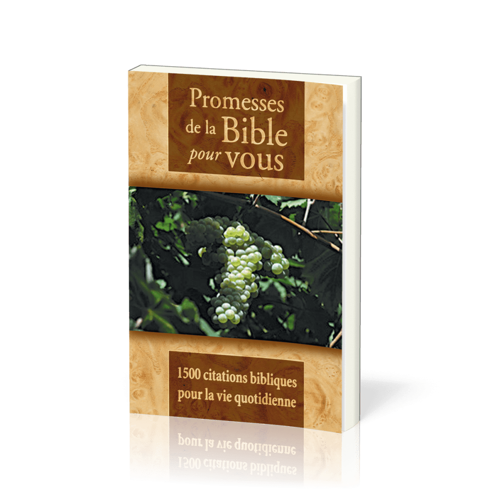 Promesses de la Bible pour vous - 1500 citations biblique pour la vie quotidienne