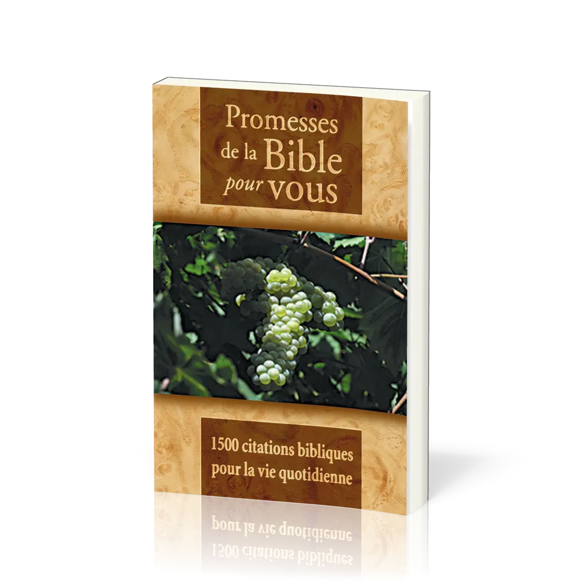 Promesses de la Bible pour vous - 1500 citations biblique pour la vie quotidienne