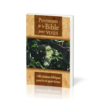 Promesses de la Bible pour vous - 1500 citations biblique pour la vie quotidienne
