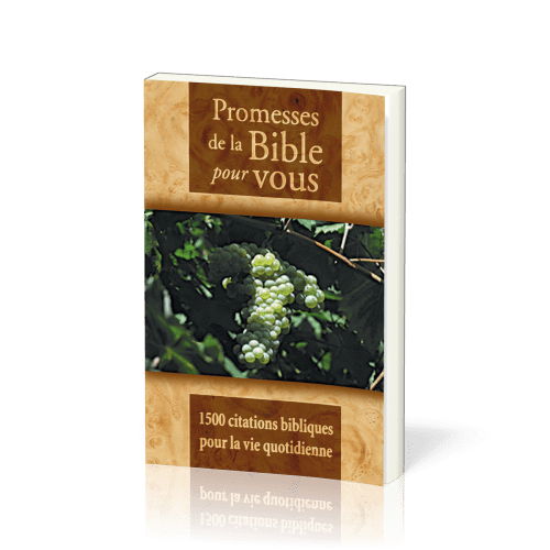 Promesses de la Bible pour vous - 1500 citations biblique pour la vie quotidienne