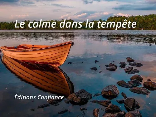 Calme dans la tempête (Le)