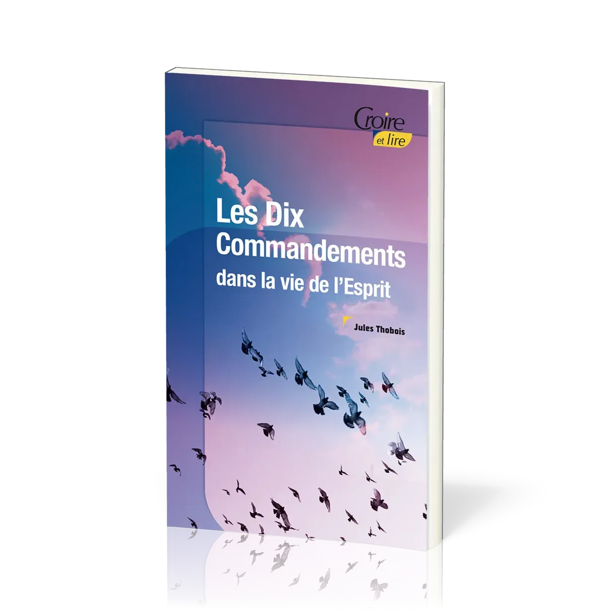 DIX COMMANDEMENTS DANS LA VIE DE L'ESPRIT (LES)