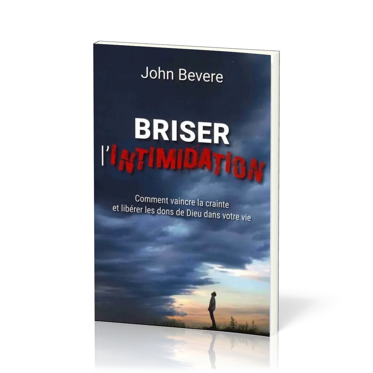 Briser l'intimidation - Nouvelle édition