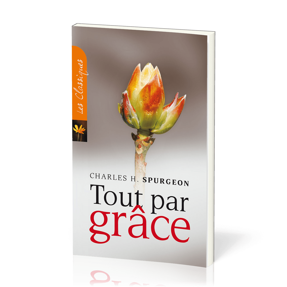  Pour se réjouir 
 de la grâce de Dieu 
  