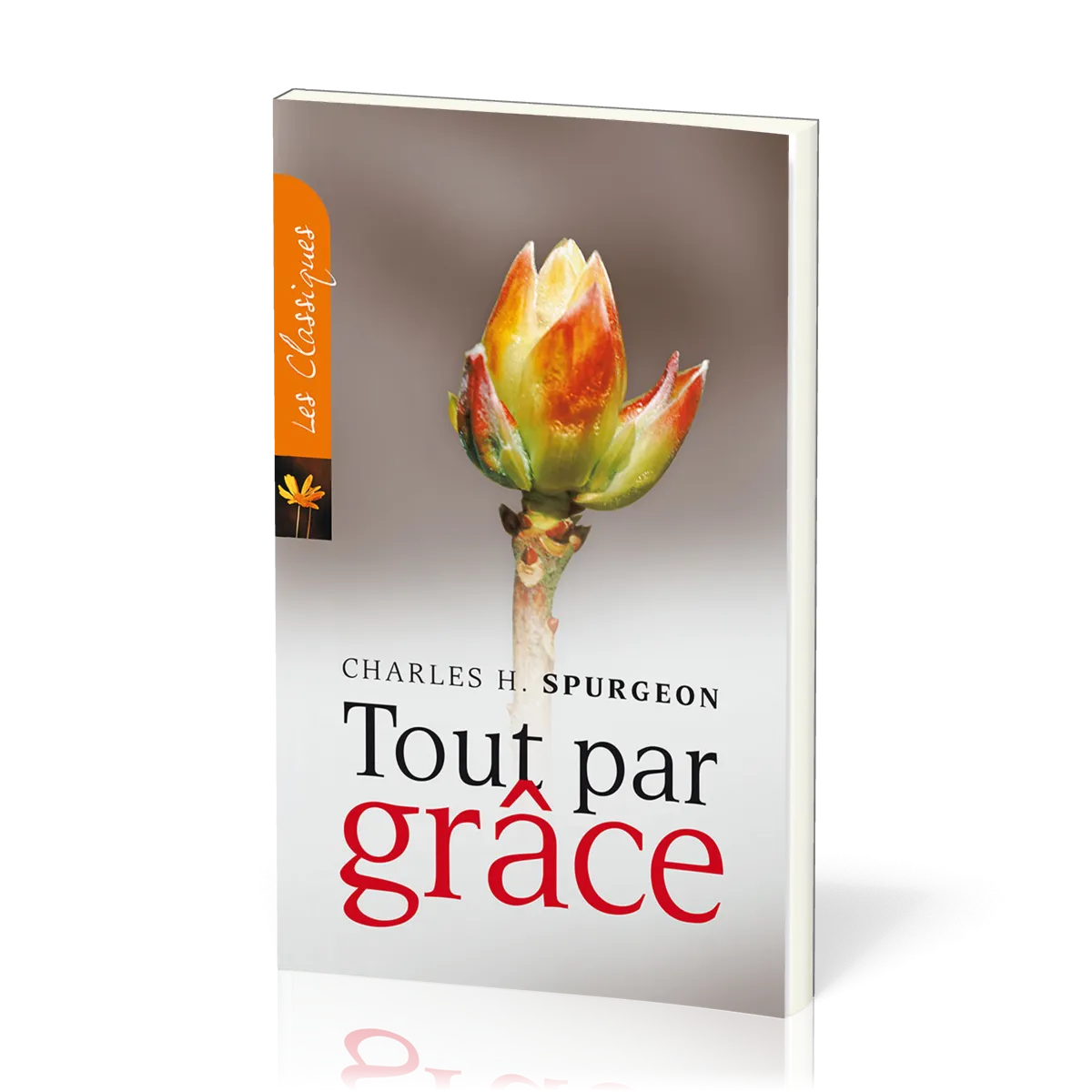  Pour se réjouir 
 de la grâce de Dieu 
  