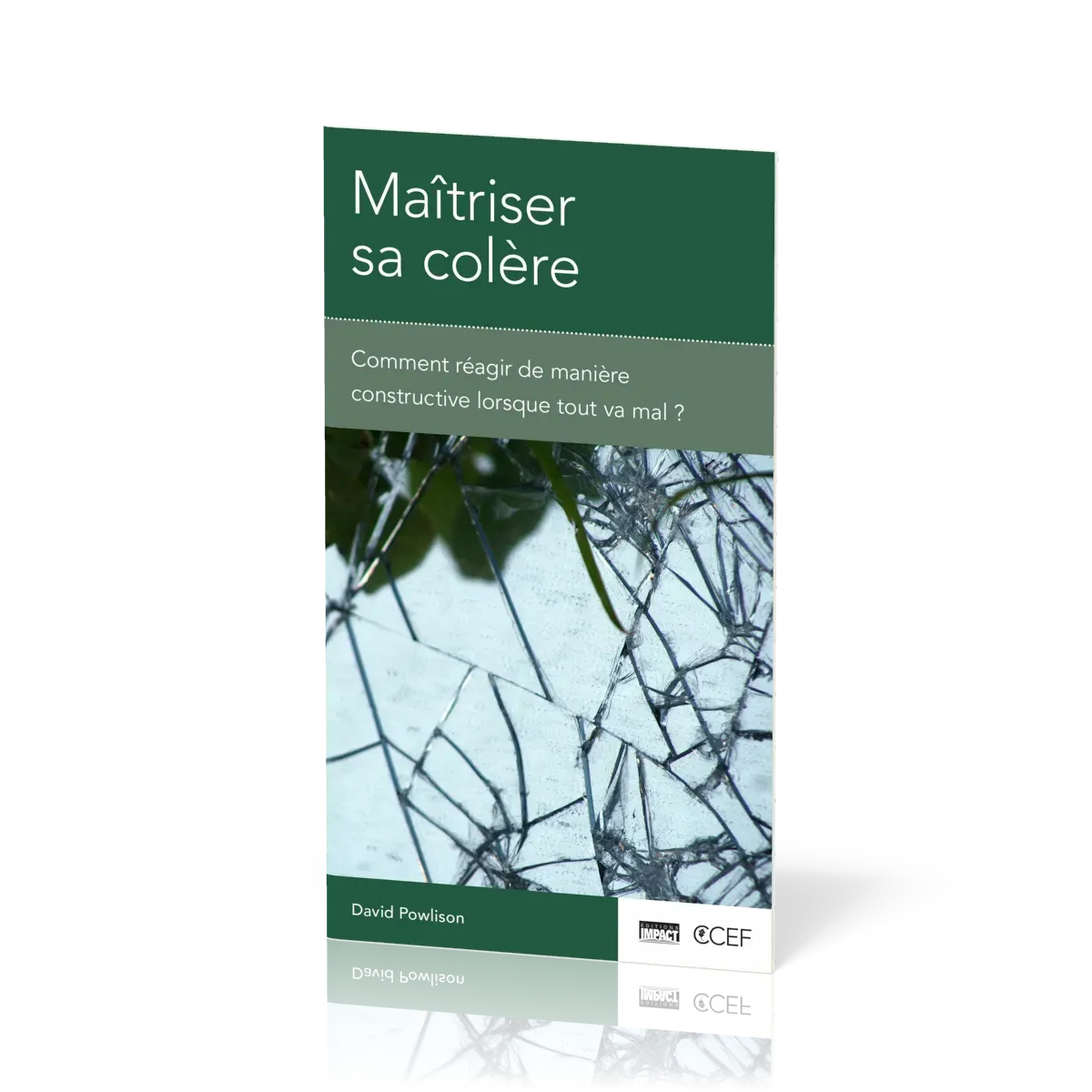 Maitriser sa colère- Comment réagir de manière constructive lorsque tout va mal ?