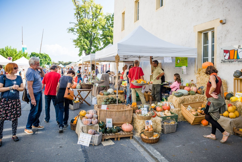  Grand marché d'automne 2025  
 Venez nous rendre visite samedi 27 septembre de 9h30 à 17h 